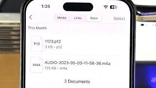 ANY iPhone How To Access WhatsApp Files/Documents!