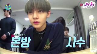 Download lagu [ENG SUB] 180103 Wanna One's Amigo TV Preview - Bae Jinyoung by WNBSUBS mp3