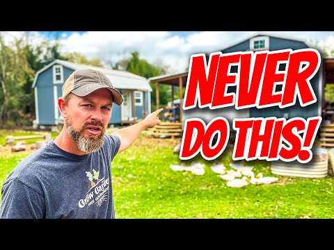 You Bought Your Homestead Property, NOW DON'T make these MISTAKES!