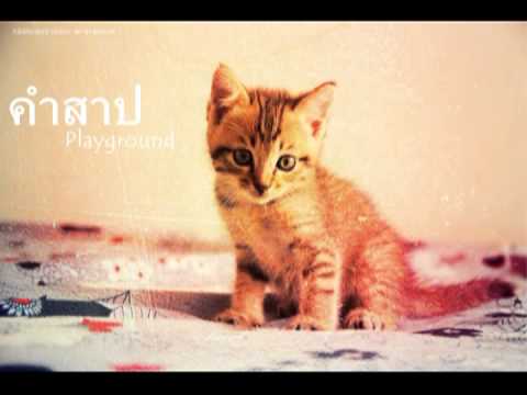 คำสาป : Playground