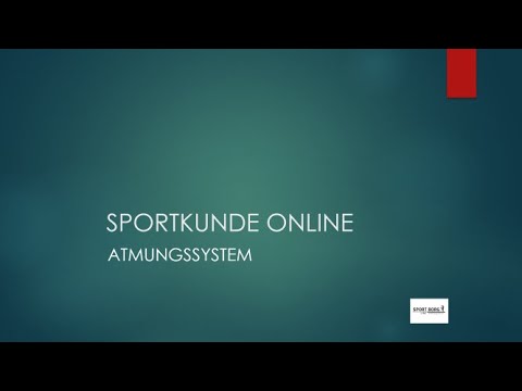 Sportkunde Online - Atmungssystem