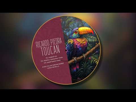 Ricardo Piedra - Toucan (Federico Monachesi Remix) [Stellar Fountain]