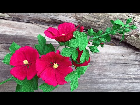 ABC TV | How To Make Hollyhock Mallow Flower With Crepe Paper - Craft Tutorial