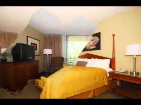 Quality Inn & Suites Downtown (AZ229)