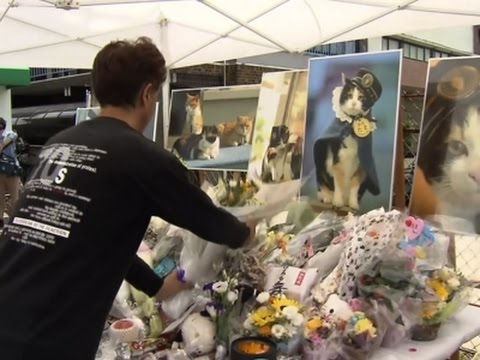 Raw: Japan Mourns Tama the Stationmaster Cat