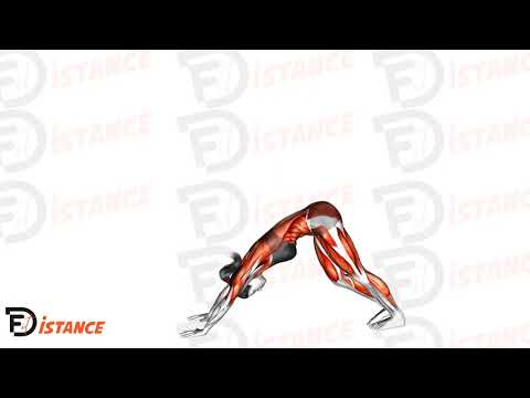 Exercice Posture du guerrier II (Virabhadrâsana ll) à la posture du chien tête en bas