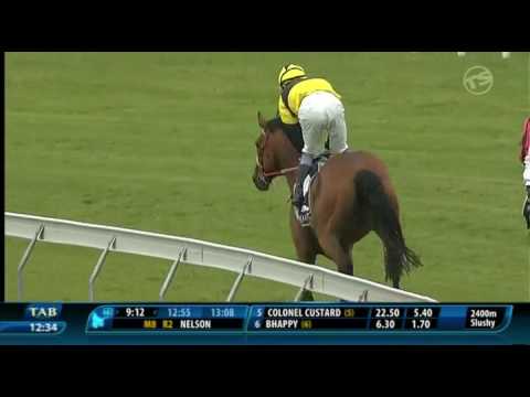 Volgus - Otaki Races