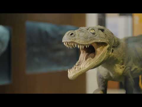 🦖 Monte San Giorgio - UNESCO World Heritage since 2003