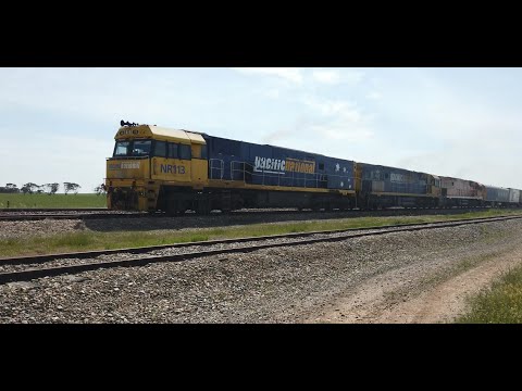 NR113 + NR32 + NR31(GS)