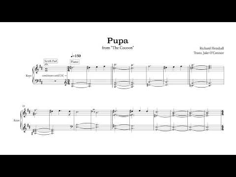 Pupa - Richard Henshall (full transcription)