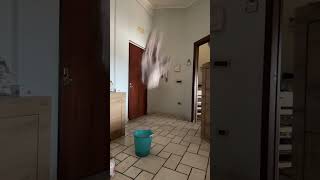 FINAL EPICO! (YouTube no quiere que mires este video) #shorts #tiktok