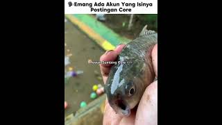hewan sumbing core😭
