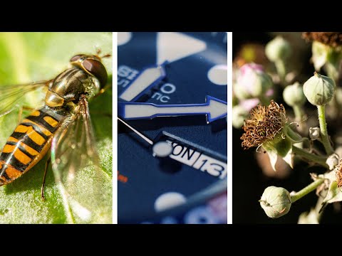 Get Creative with Affordable Macro Extension Tubes + Samples (Viltrox / Fotga Tubes Tested)