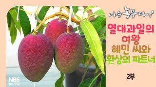 [나는농부다 263회 2부] 열대과일의 여왕 혜민 씨와 환상의 파트너