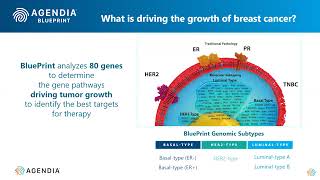 Taking Control of Your Breast Cancer Journey: Understanding the Importance of Genomic Testing in Treatment Decisions