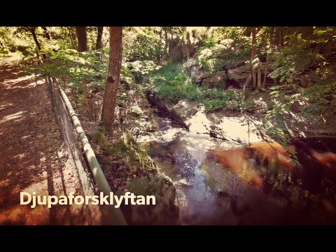 DJUPAFORS - klyftan - 200623 - KALLINGE - Ronneby - Huawei P30 pro (BLEKINGE)