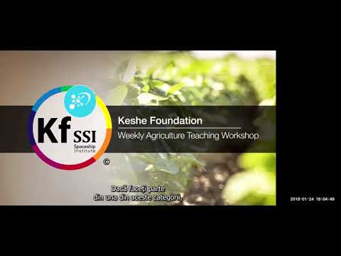 2018 01 24 PM Public Teaching in Romanian - Cursuri publice în română