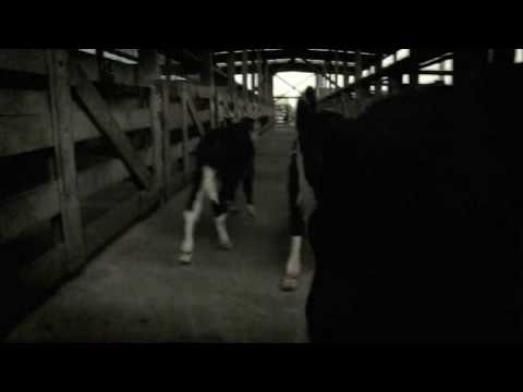 8 Foot Sativa - Sleepwalkers (censored version) online metal music video by 8 FOOT SATIVA