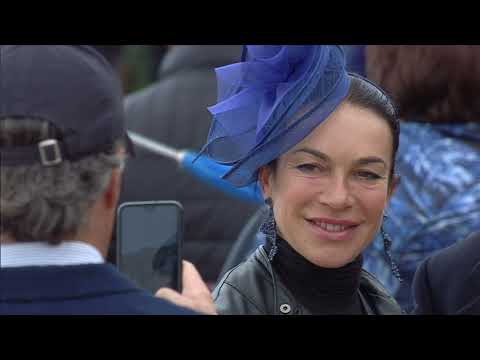 Colore 133 Premio Pisa - Trofeo Goffs Uk Breeze up