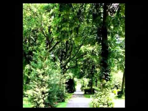 Friedhof Bremen-Buntentor, germany