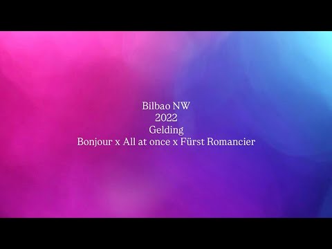 youtube preview