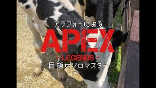 アラフォーのFPS【APEX】目指せソロマス　第十八夜　怖くはない