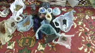 Ancient Roots, Modern Medicine - The Middle East