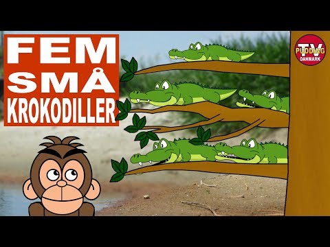 Fem små krokodiller - og meget mere | Danske børnesange