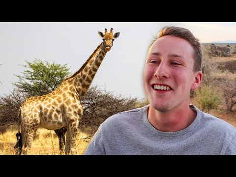 Doug's Review of The Namibia Wildlife Sanctuary  |  The Great Projects
