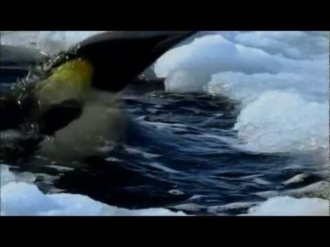 Solaris Inc. ~ Children