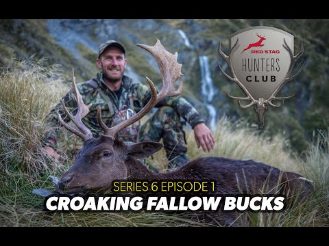HUNTERS CLUB - Croaking Fallow Bucks in Spectacular Scenery