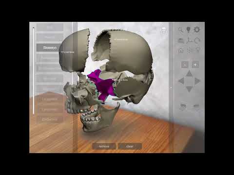 3D Human Anatomy Introduction Video