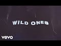 For The Wild Ones