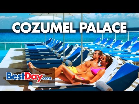 Videos del Cozumel Palace 5★ en Cozumel, MéxicoVer MásVerPrecios20CerrarConsulta por Whatsapp 🇦🇷BookingTripadvisorExpediaAgodaTravelocityOrbitzPricelineTripSkyscannerDespegarKayakHotelesBestdayDestiniaTrivagoTurismocityAlmundoLastminuteHotwireTui