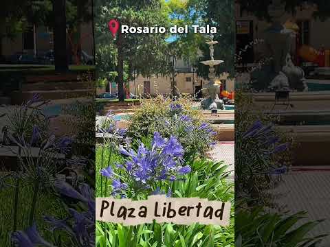 Rosario del Tala - Corazón de Entre Ríos.-