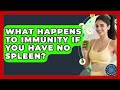 What Happens To Immunity If You Have No Spleen? - All About the Immune System