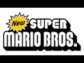 Retro Level Clear New Super Mario Bros