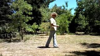 I'm Gonna be BAD, Line dance