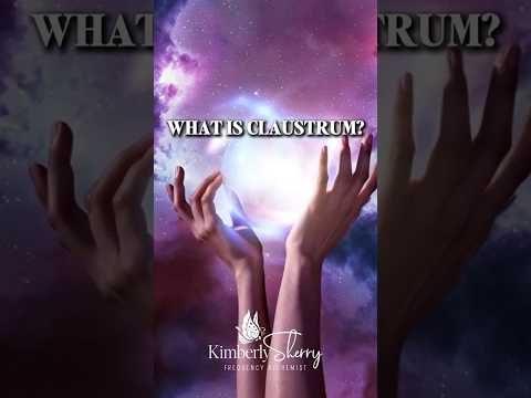 Ever heard of the claustrum?