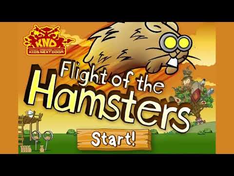 Flight of the Hamsters Gameplay | Can You Score A Better Record?