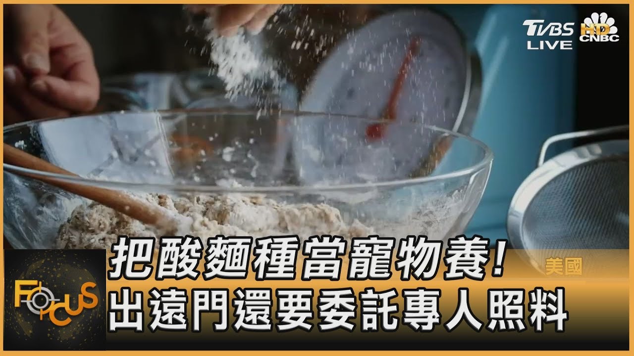 把酸麵種當寵物養！出遠門還要委託專人照料