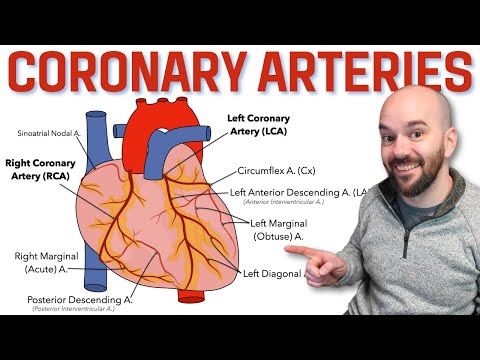 Coronary Arteries Made Easy: Learn & Never Forget