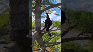 Speed Climbing Puzzle 🧩