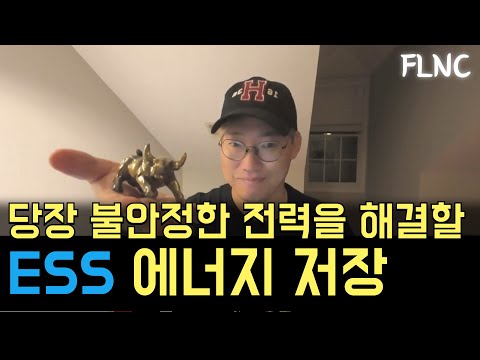 FLNC 부족한 전력 컨셉이 효율과 절약으로 바뀐다면? ESS #EOSE #TSLA