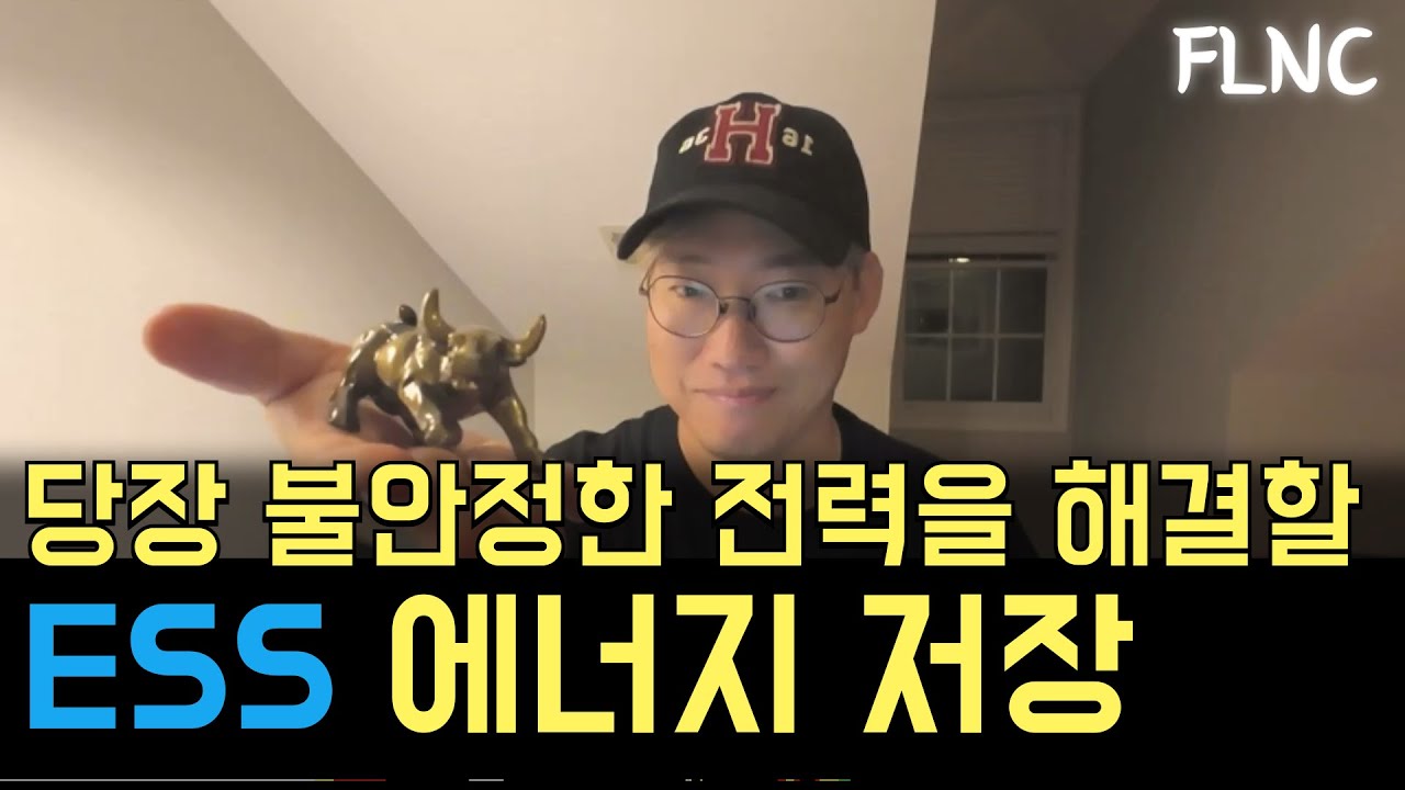 FLNC 부족한 전력 컨셉이 효율과 절약으로 바뀐다면? ESS #EOSE #TSLA