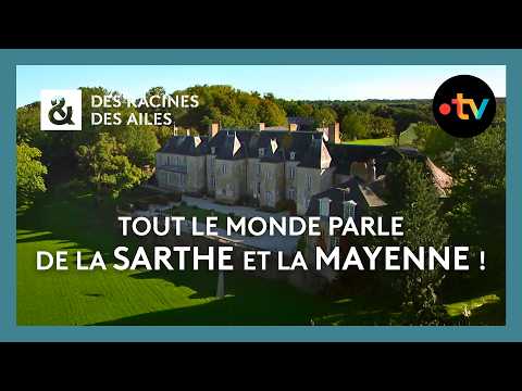 Pourquoi tout le monde parle de la Sarthe et la Mayenne ? - Intégrale