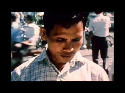 Thể hiện bởi Giao Linh (trước 75)