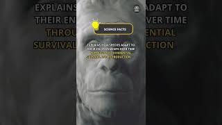 The Concept of Evolution by Natural Selection, Proposed by Charles Darwin and Alfred Russel Wall