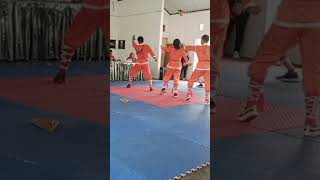 Download lagu Jurus Dasar 2 Kungfu Wushu Gerak Kilat Pesisir Selatan mp3 Download lagu Jurus Dasar 2 Kungfu Wushu Gerak Kilat Pesisir Selatan mp3