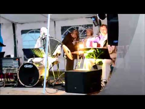 Ansambel Vanad Sõbrad   Mööda Eesti linnu